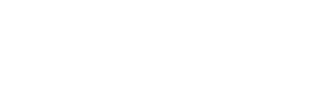NFTeam Ventures Logo Wide